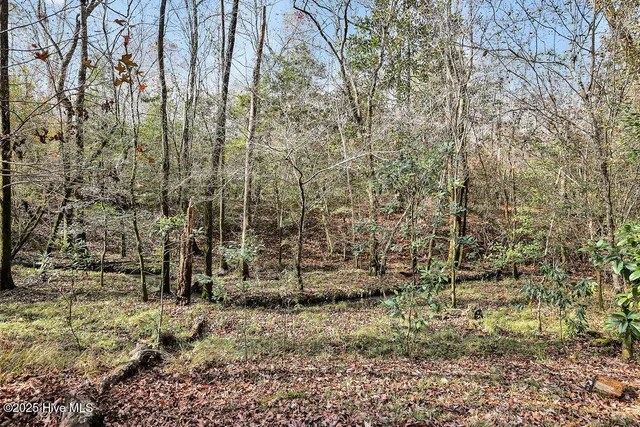 $299,000 | 7387 Red Stone Court, Belville, NC 28451