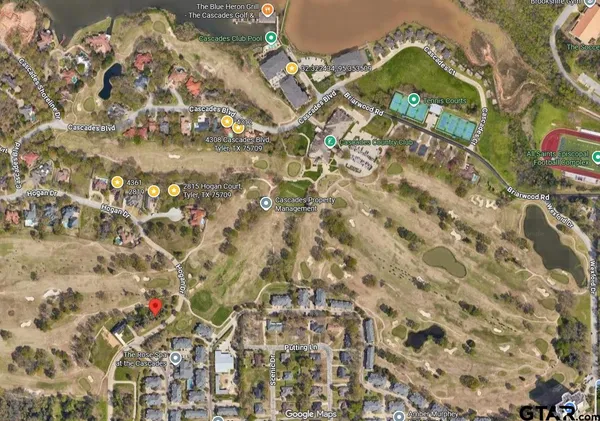 a view of a park with large trees