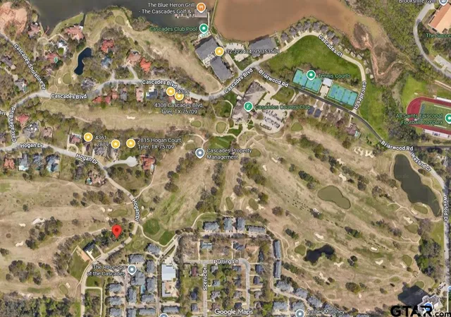 a view of a park with large trees