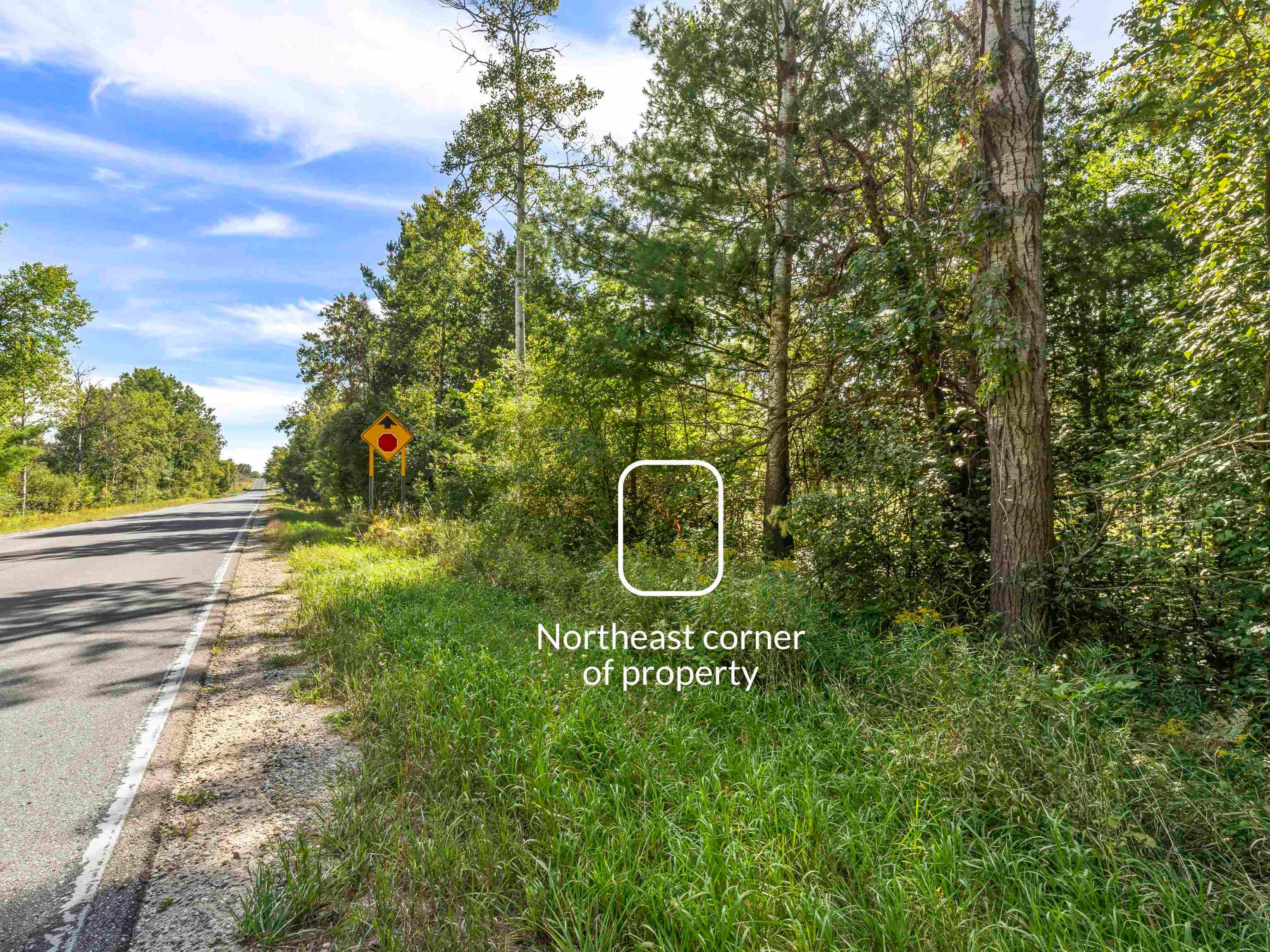 Parcel A Yates Road Copemish, MI 49625 - Photo 5 of 10 Gallery Image 5
