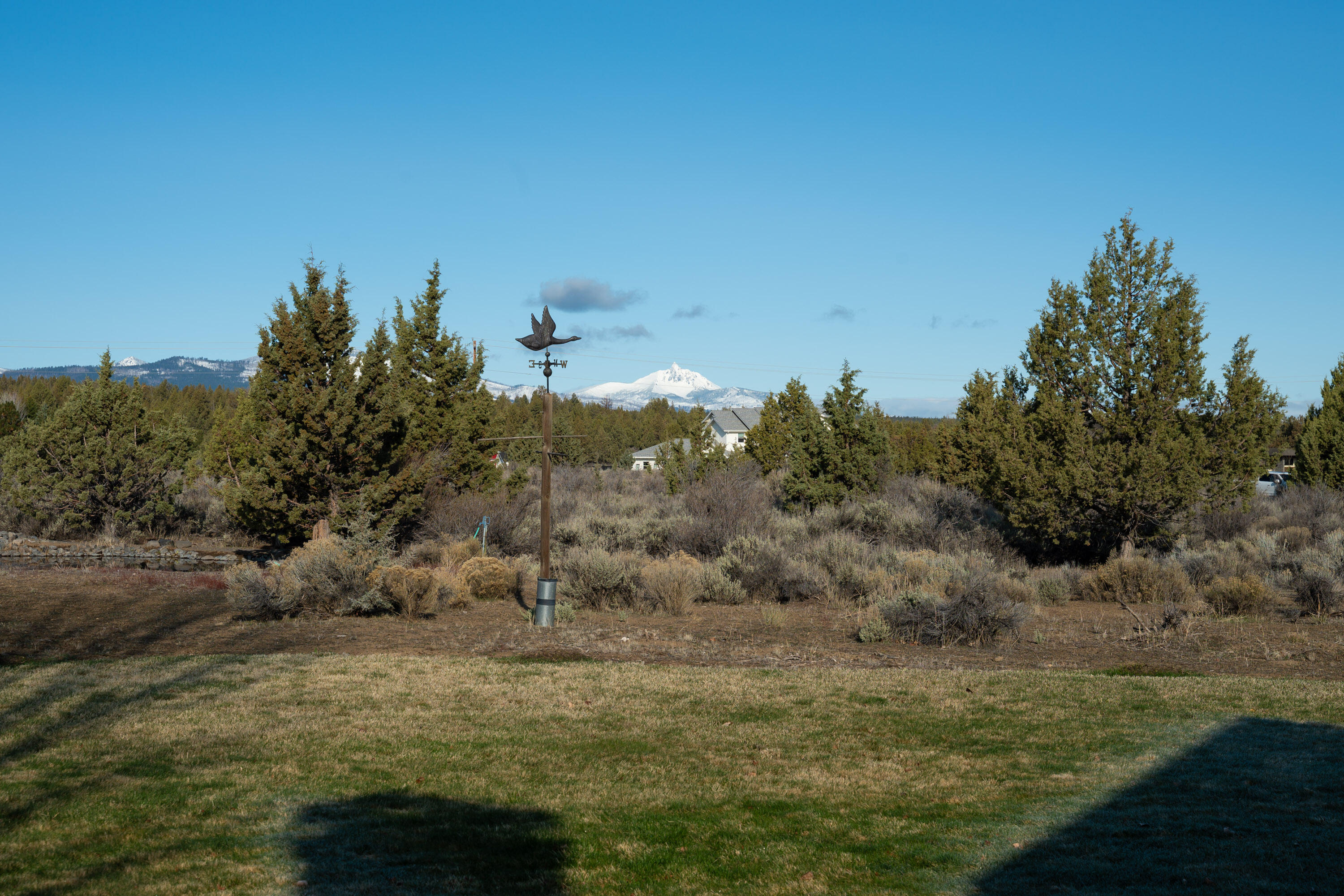 66360 Jericho Road Bend, OR 97703 - Photo 77 of 100 a view of a field of grass and trees