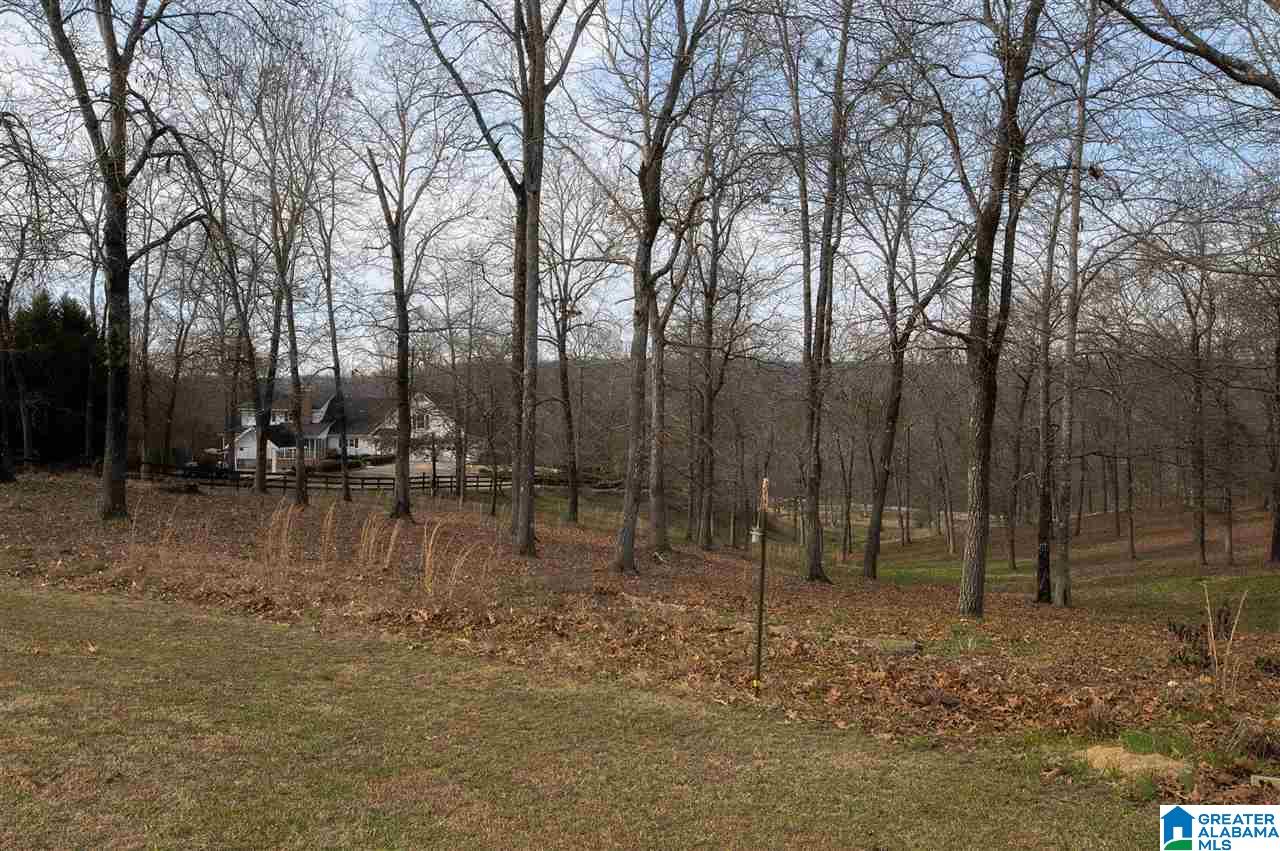 1850 Highway 132 Oneonta, AL 35121 - Photo 14 of 43