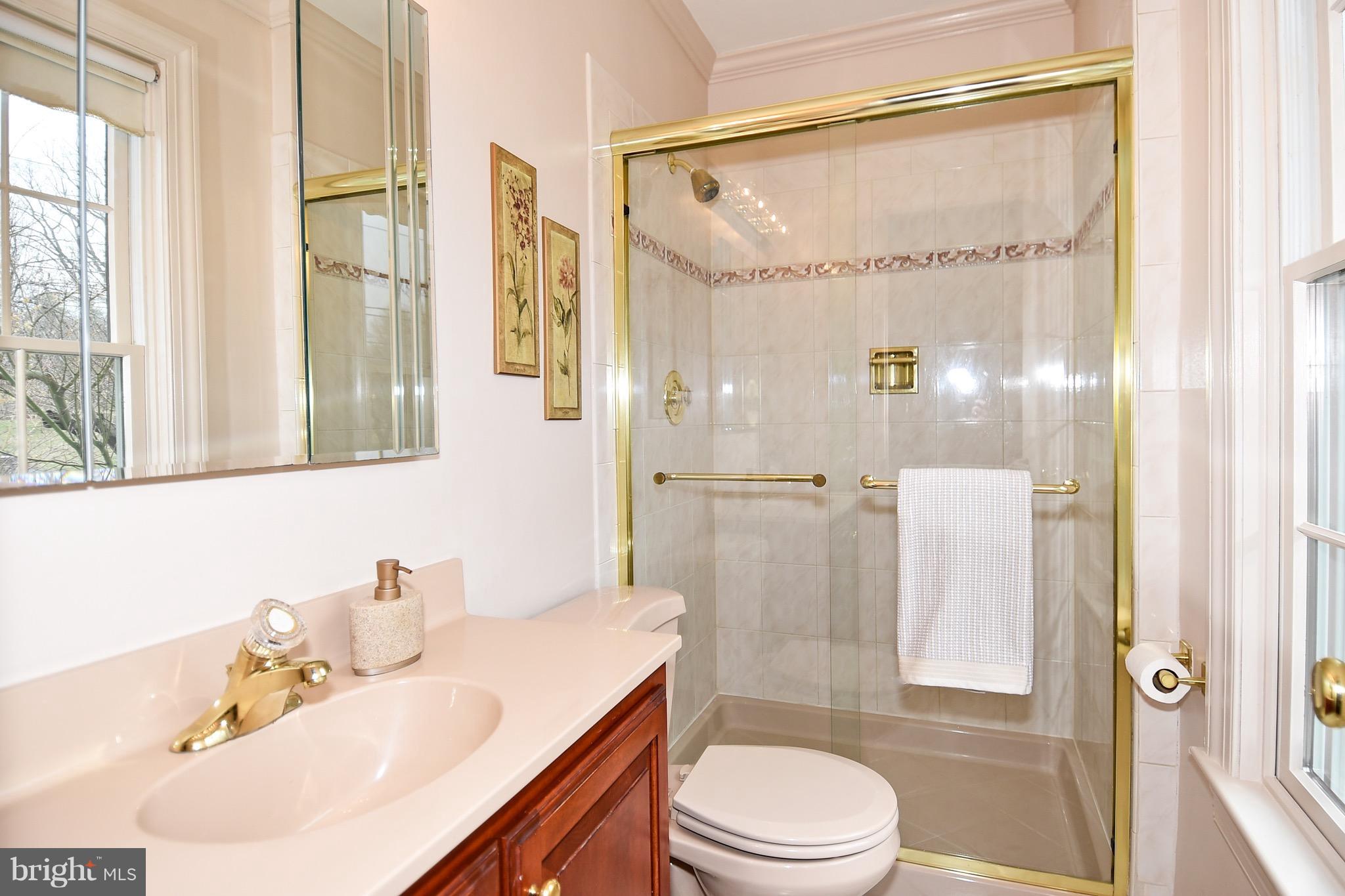 700 Springloch Road Silver Spring, MD 20904 - Photo 15 of 30 Bath (Master)
