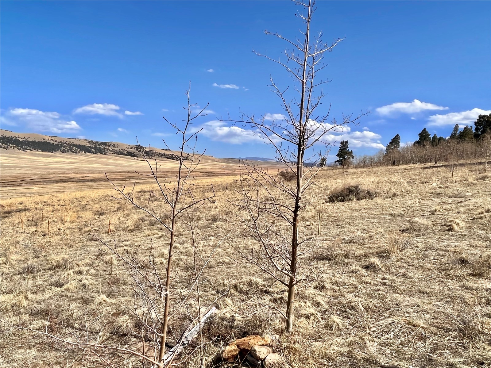 2952 Redhill Road Fairplay, CO 80440 - Photo 20 of 23 Gallery Image 20