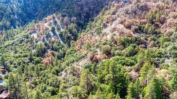 $5,000,000 | 999 Acorn Drive, Wrightwood, CA 92397