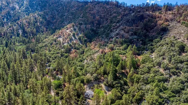 $5,000,000 | 999 Acorn Drive, Wrightwood, CA 92397