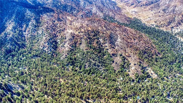 $5,000,000 | 999 Acorn Drive, Wrightwood, CA 92397