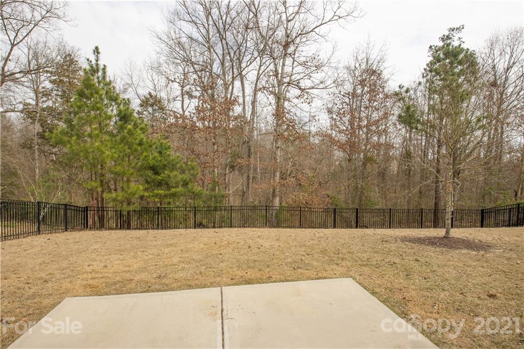 2186 Bluebell Way Tega Cay, SC 29708 - Photo 29 of 41