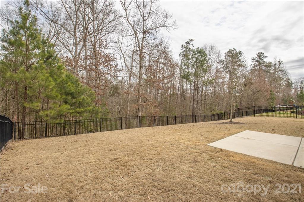 2186 Bluebell Way Tega Cay, SC 29708 - Photo 30 of 41