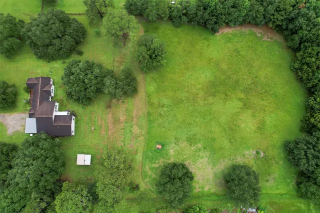 a view of a big yard with large trees
