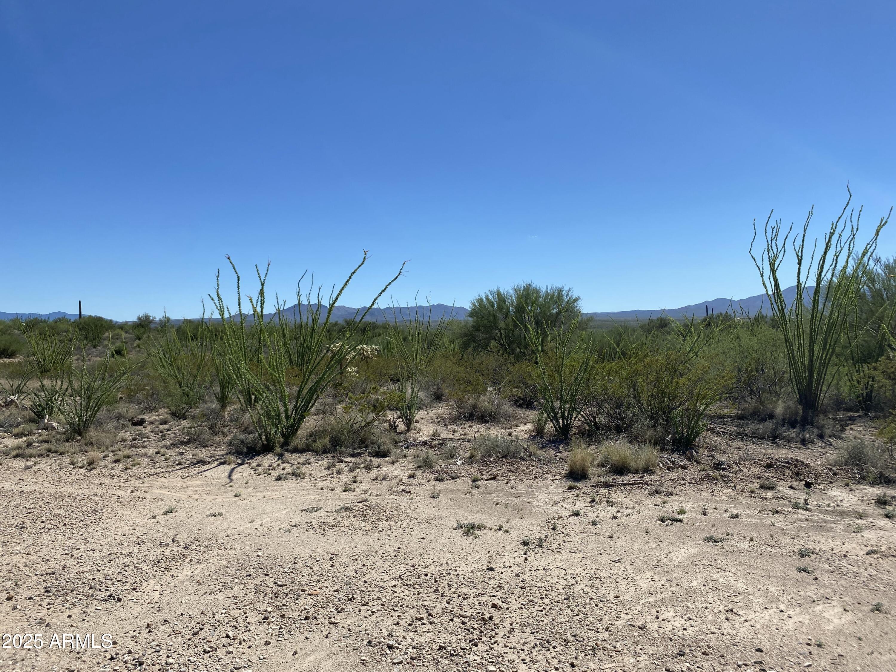 4-acres East Colossal Cave Road Vail, AZ 85641 - Photo 15 of 17 a view of a dry yard with trees