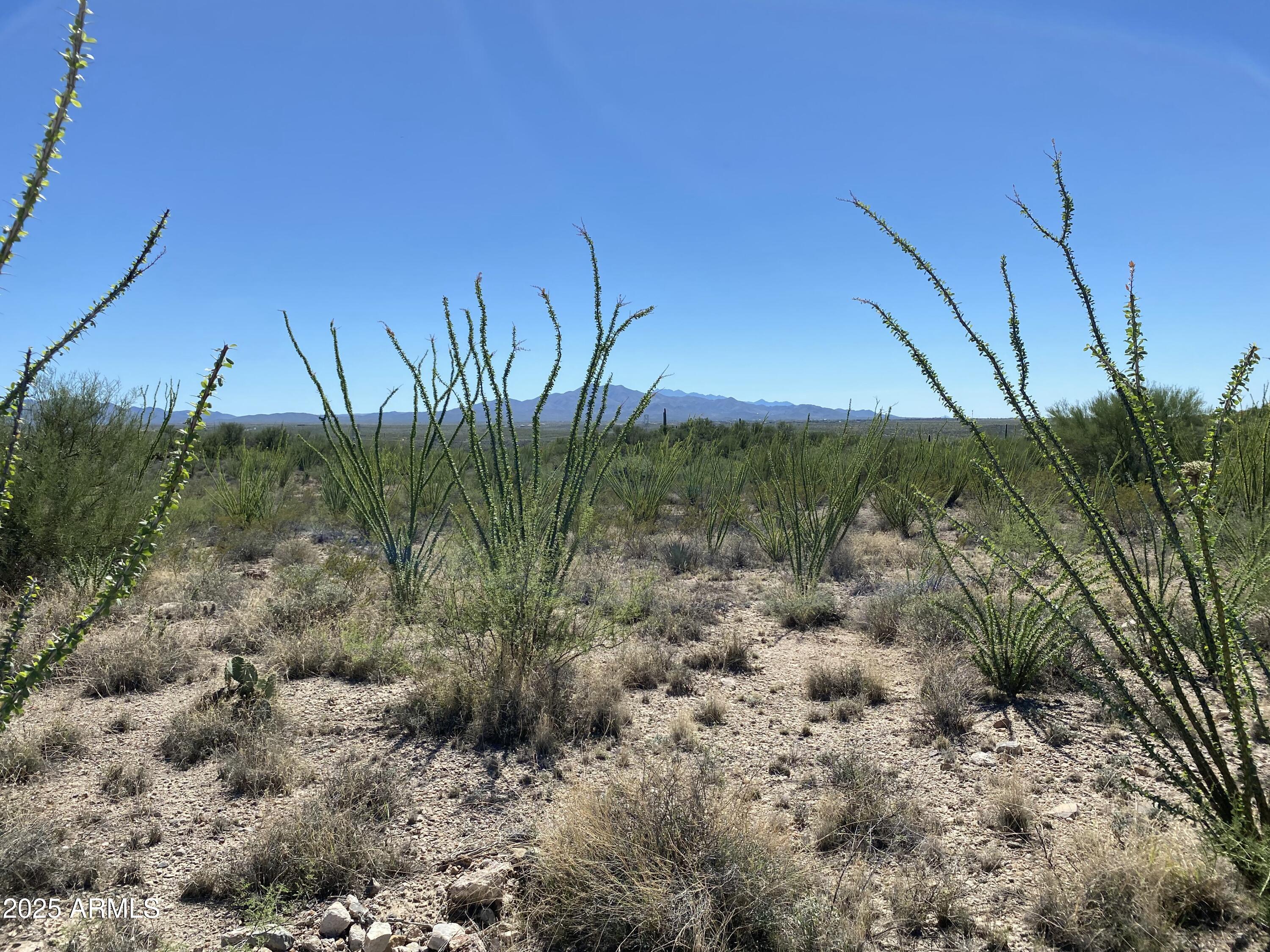 4-acres East Colossal Cave Road Vail, AZ 85641 - Photo 17 of 17 a view of a yard