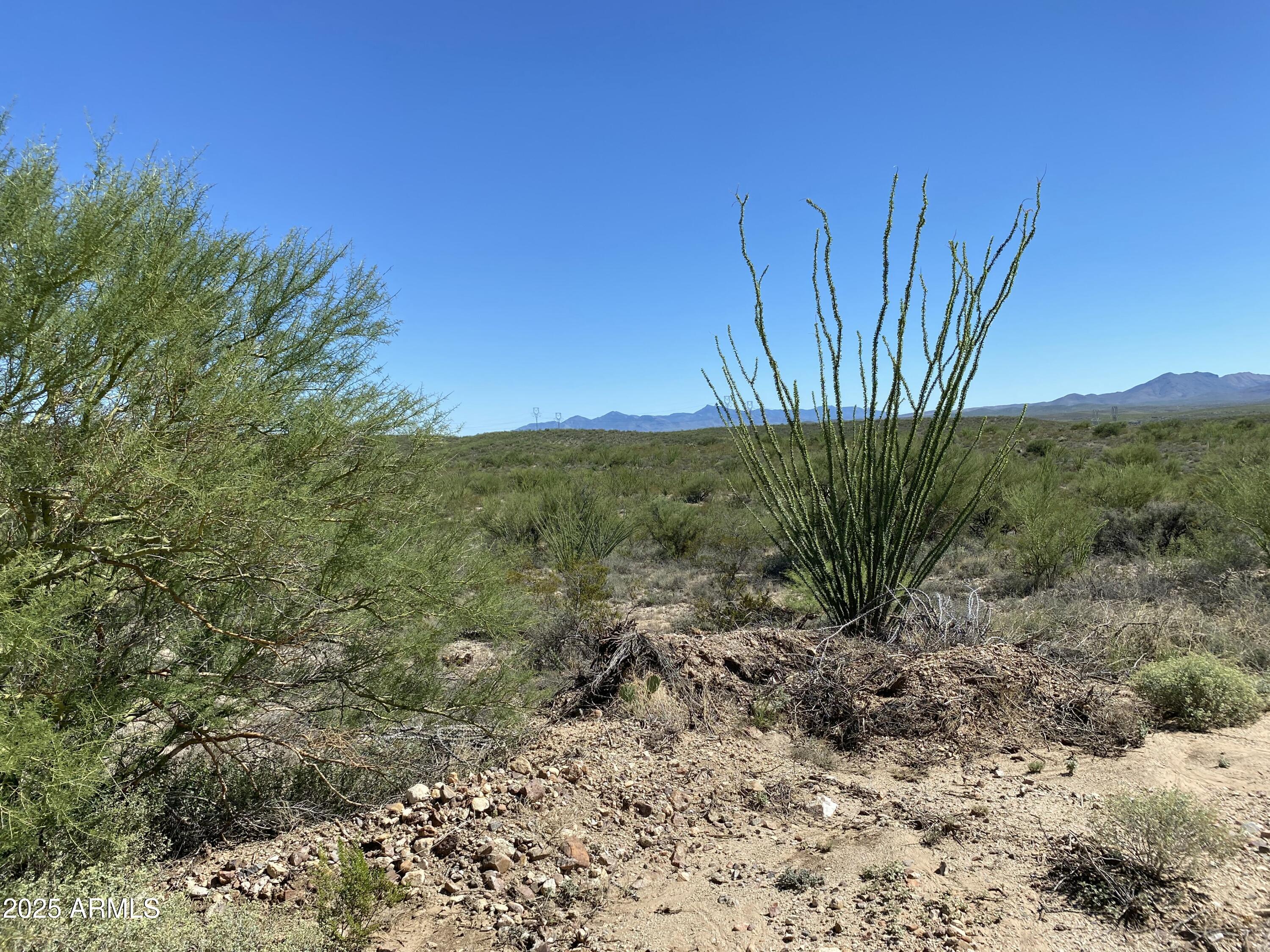 4-acres East Colossal Cave Road Vail, AZ 85641 - Photo 10 of 17 a view of a yard with a tree