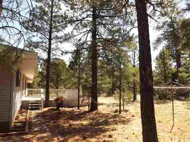 2097 Chevelon Road Overgaard, AZ 85933 - Photo 6 of 35 a view of a covered with snow