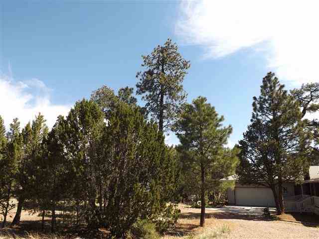 2097 Chevelon Road Overgaard, AZ 85933 - Photo 8 of 35 a view of outdoor space with yard
