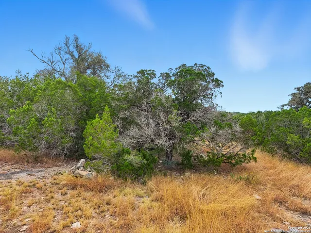 $82,500 | 22 B Bluff Creek Ranch, Rocksprings, TX 78880