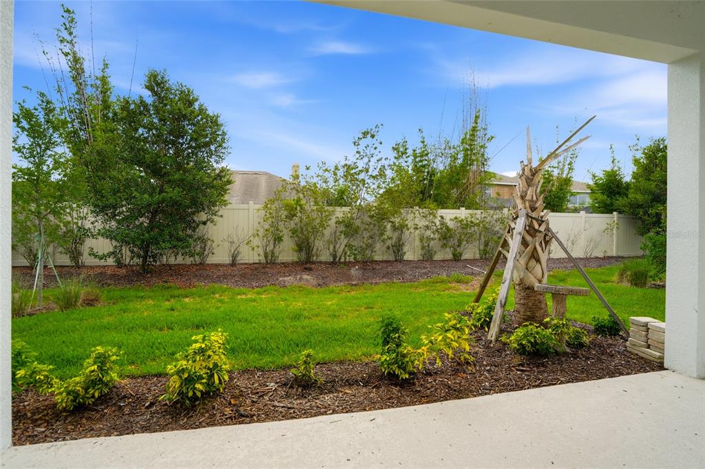 4718 Garofalo Road Wesley Chapel, FL 33543 - Photo 14 of 17