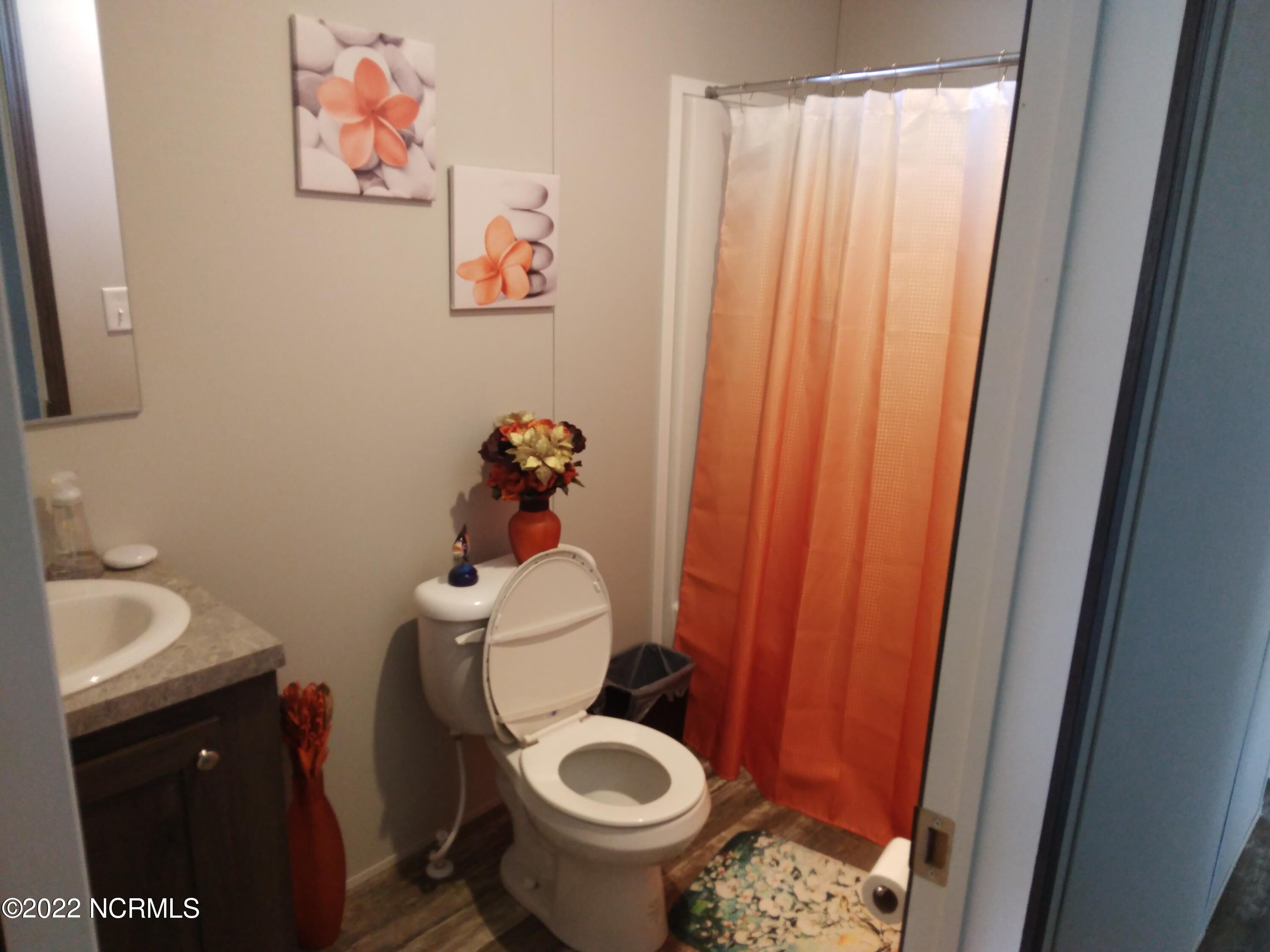4419 Weaver Road Wilson, NC 27893 - Photo 10 of 15 Hall Bath