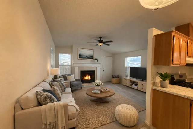 a living room with furniture and a fireplace