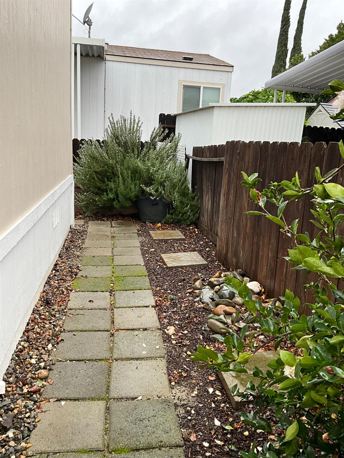 26 Golden Inn Way Rancho Cordova, CA 95670 - Photo 8 of 27 a view of a backyard