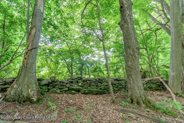 a big yard with lots of green space