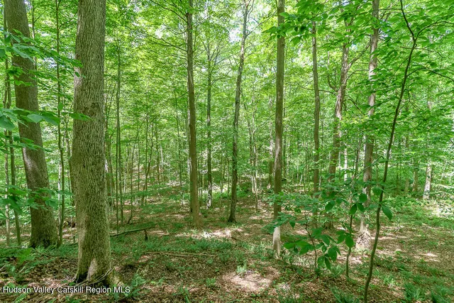 a view of outdoor space and deck