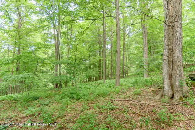a backyard of a house with lots of green space and trees