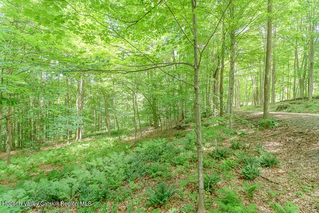 $44,000 | 0 Chair Factory Road, New Lebanon, NY 12125