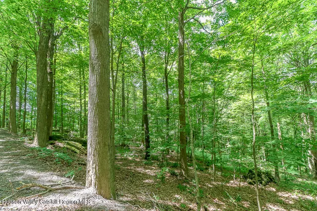 a view of outdoor space and green space