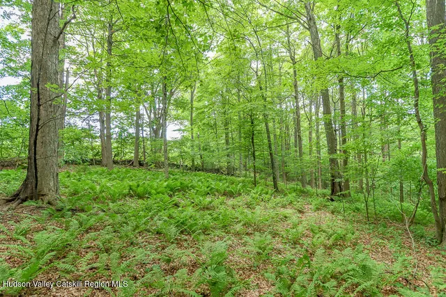 a view of outdoor space and green space