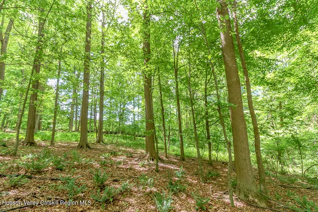 a view of outdoor space and green space