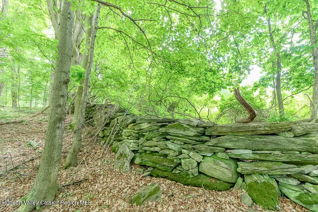 a view of outdoor space and green space