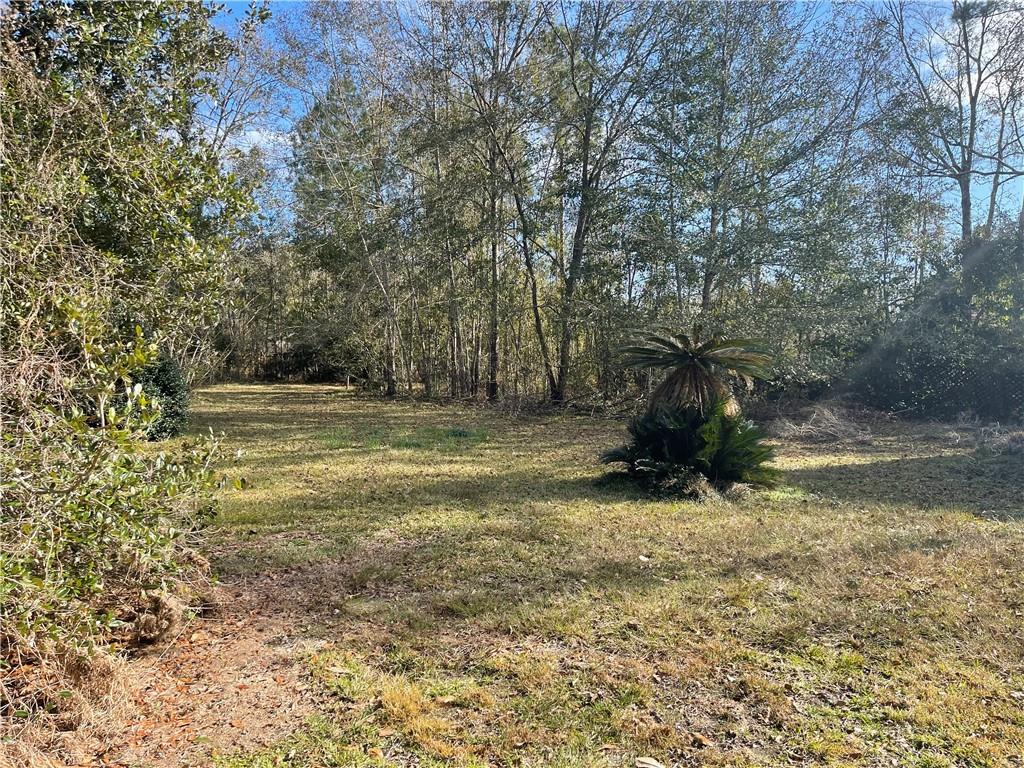 27394 Tag A Long Road Lacombe, LA 70445 - Photo 4 of 18 Gallery Image 4