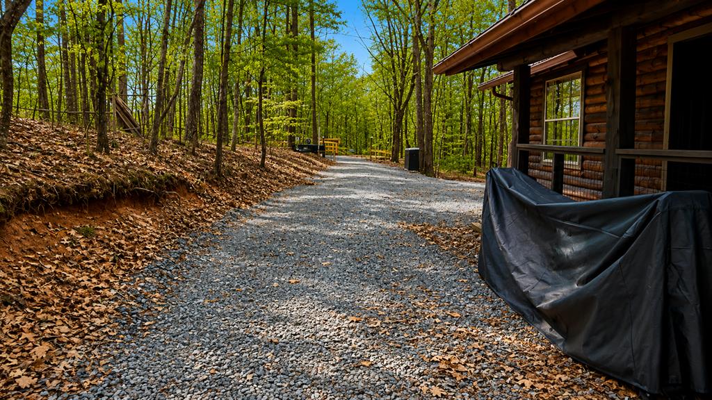 325 Pettit Ridge Road Ellijay, GA 30536 - Photo 5 of 48 Gallery Image 5