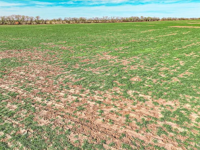 a view of a field with an ocean