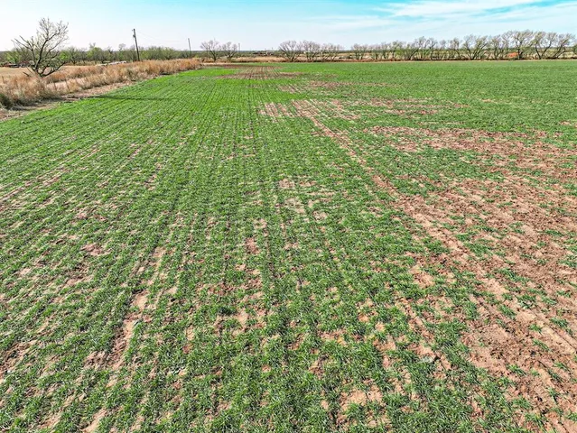 a view of a field with an ocean