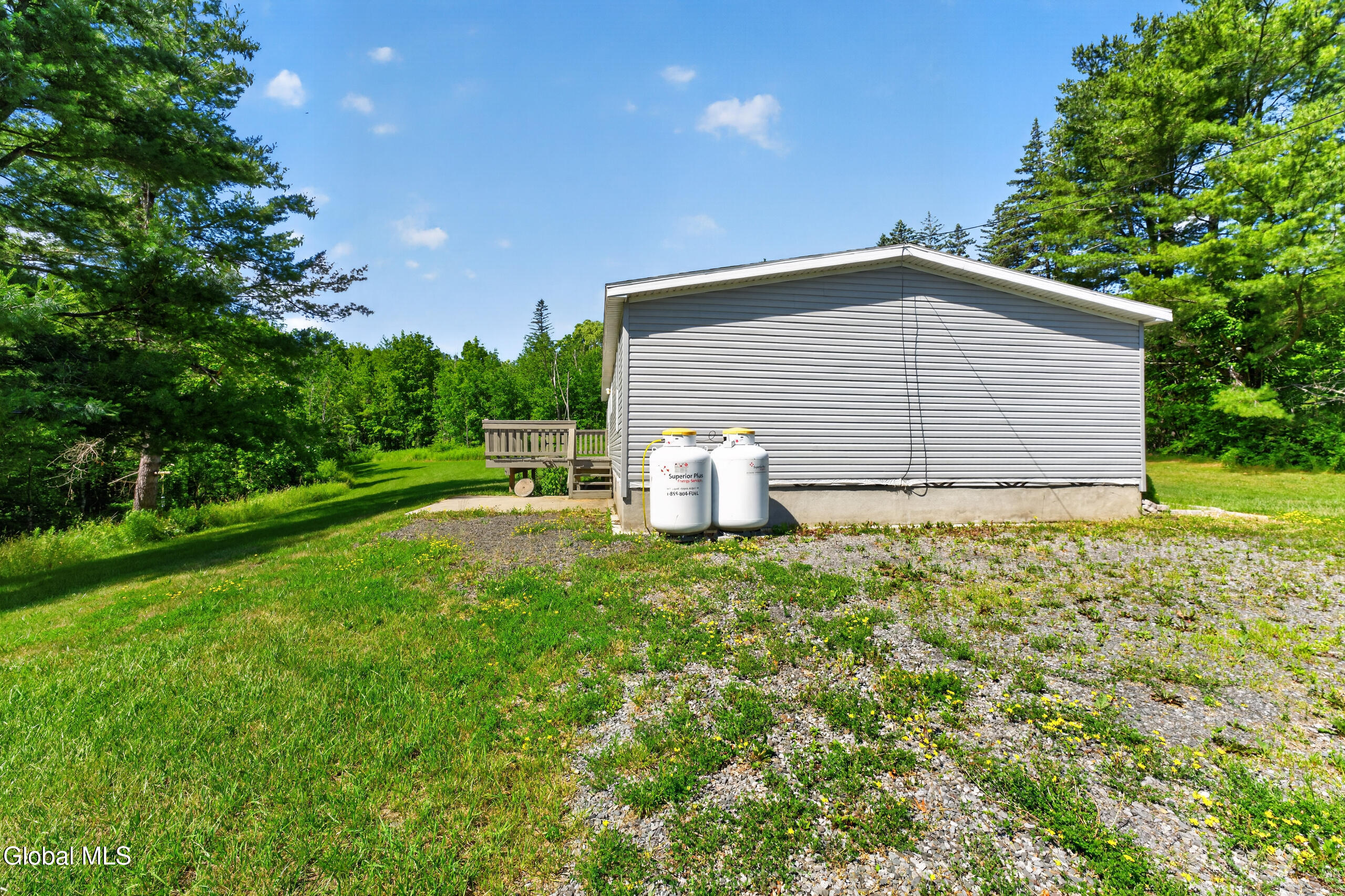 119 County Road 354 Rensselaerville, NY 12469 - Photo 33 of 35 Yard 5