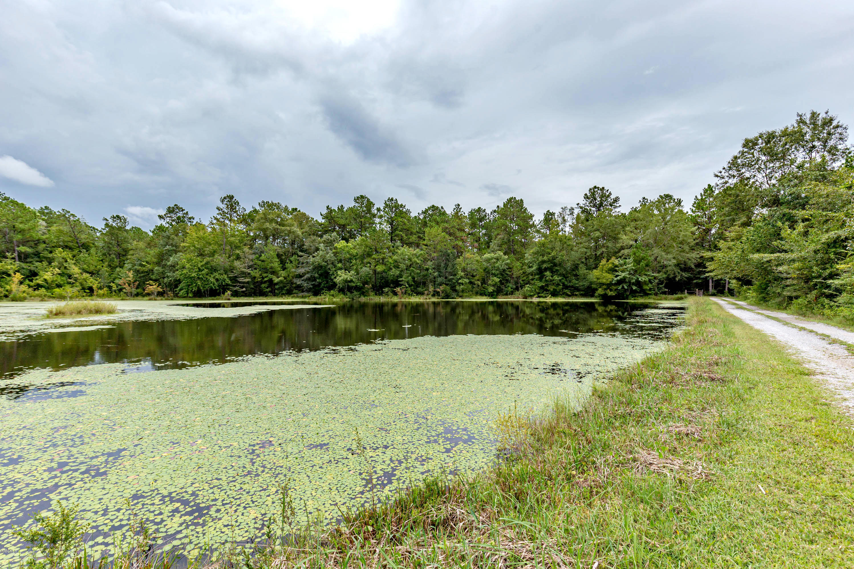 16066 Broadus Road Saucier, MS 39574 - Photo 57 of 62 IMG_9500