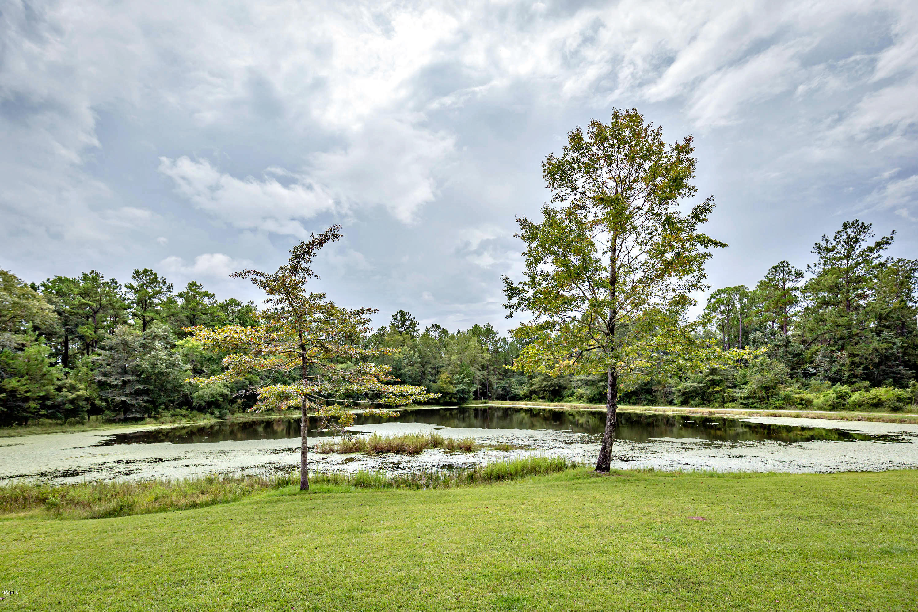 16066 Broadus Road Saucier, MS 39574 - Photo 62 of 62 IMG_9404