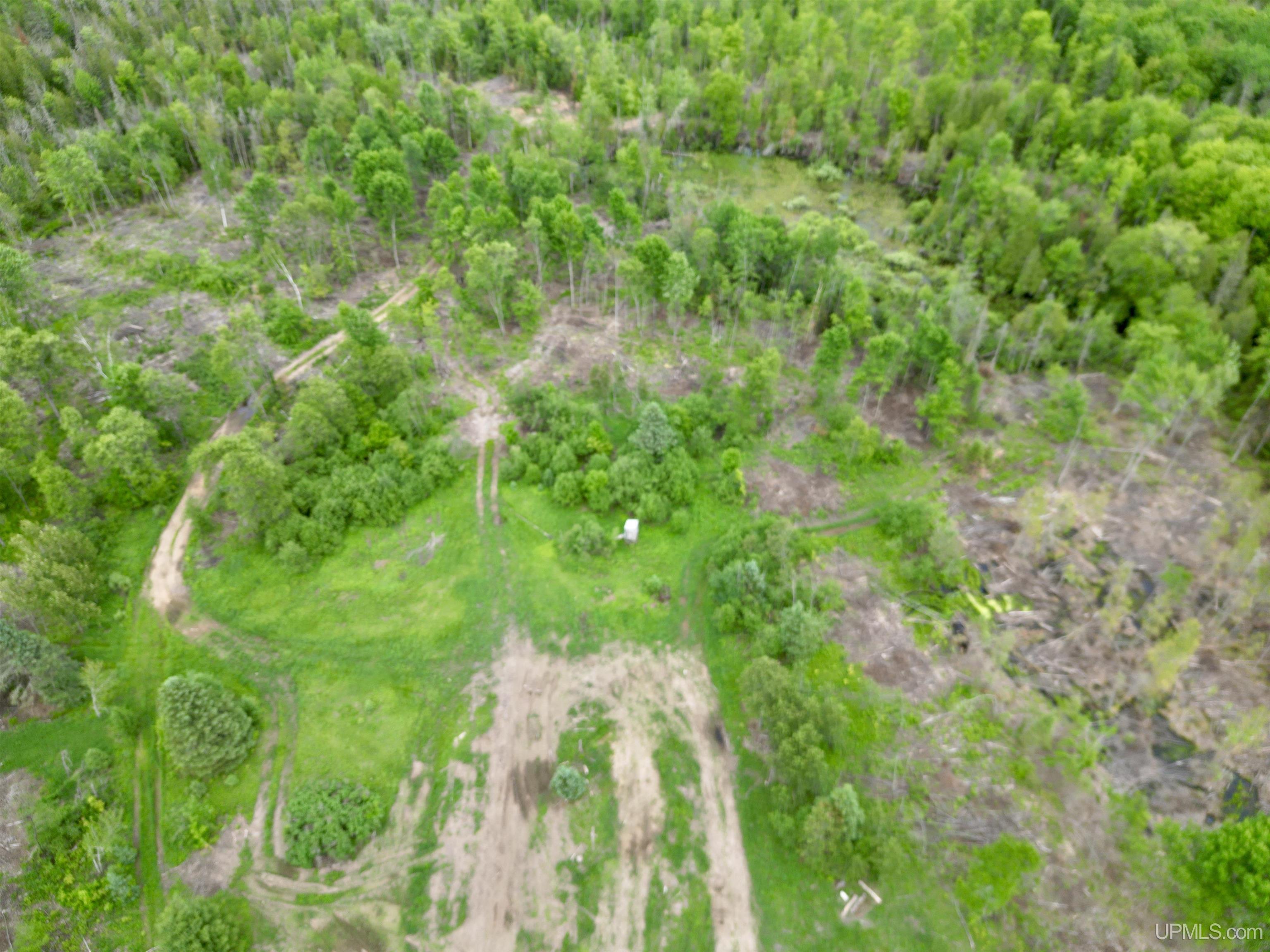 3601 Cr444 Road Rock, MI 49880 - Photo 62 of 78