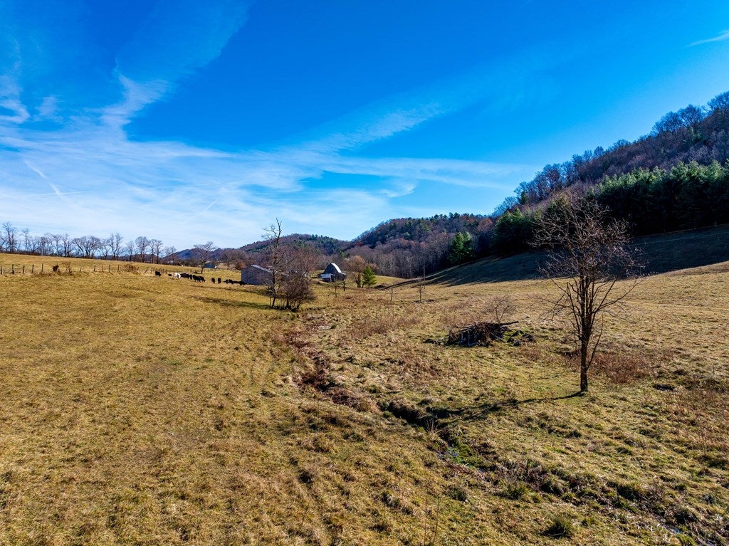Tbd Gap Of Ridge Road Rural Retreat, VA 24368 - Photo 40 of 85 Gallery Image 40