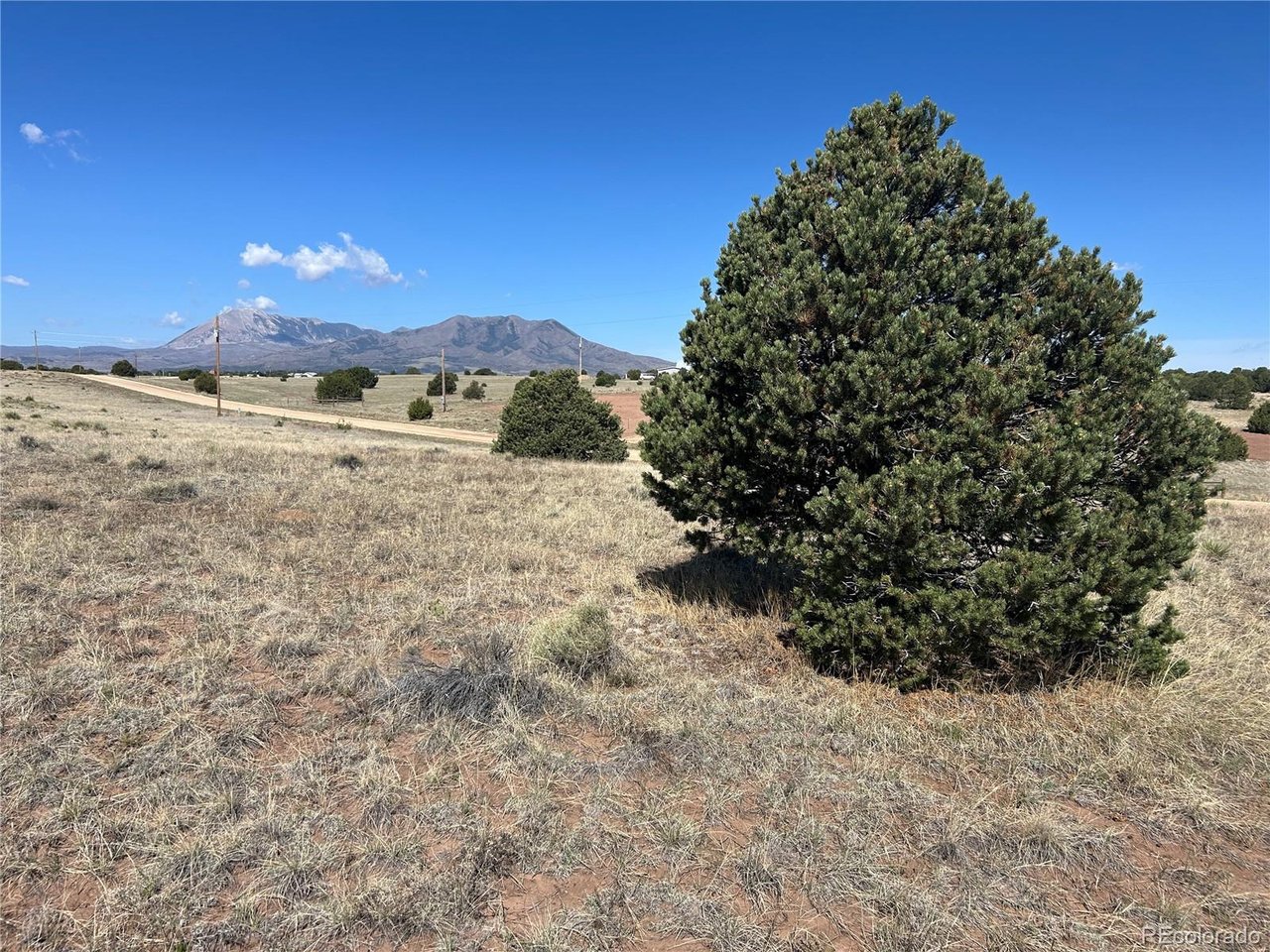 94 Navajo Ranch Walsenburg, CO 81089 - Photo 2 of 15 a view of a yard with a tree