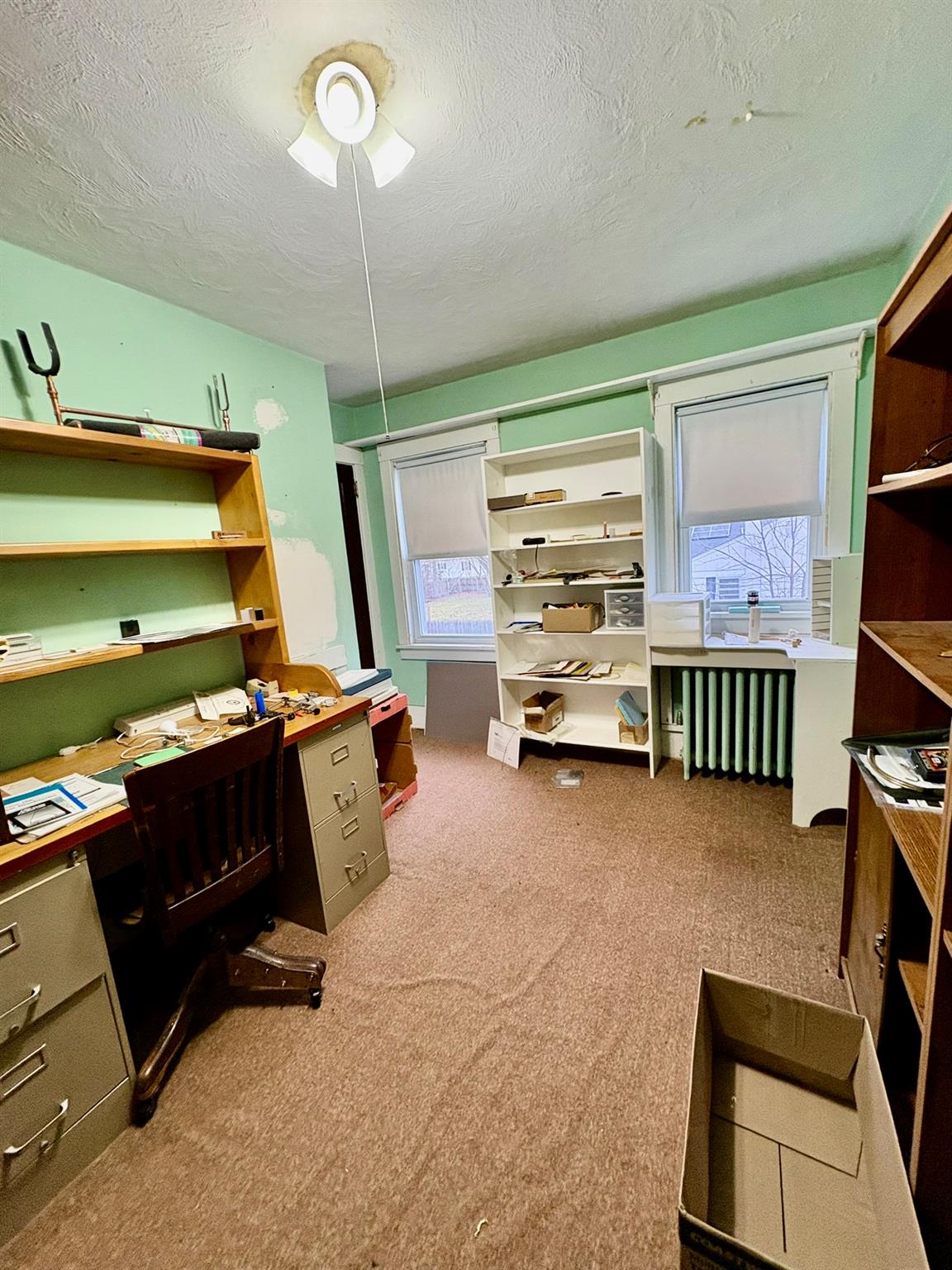 123 Rockland Road Roscoe, NY 12776 - Photo 25 of 31 Carpeted home office featuring radiator and a textured ceiling