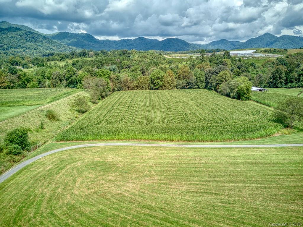 609 Caring Pl Loop Clyde, NC 28721 - Photo 3 of 24