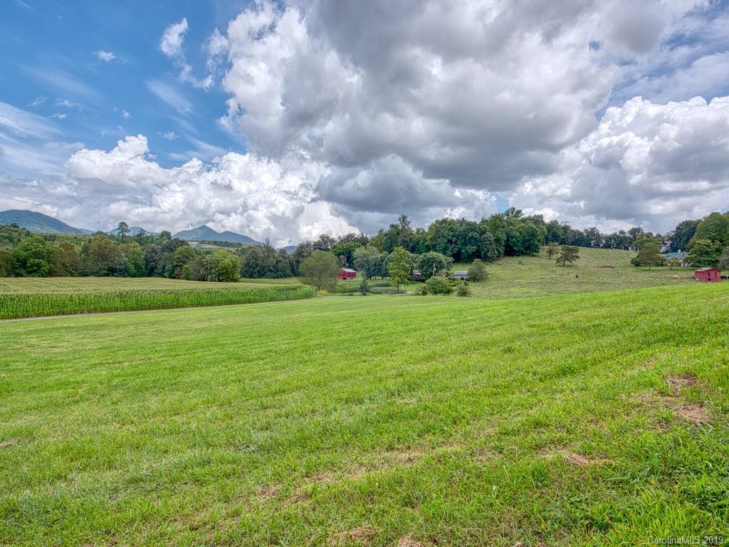 609 Caring Pl Loop Clyde, NC 28721 - Photo 23 of 24