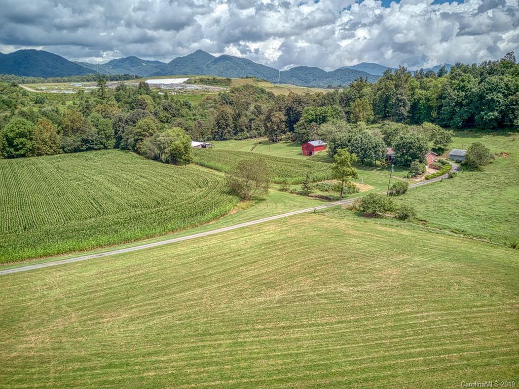 609 Caring Pl Loop Clyde, NC 28721 - Photo 4 of 24
