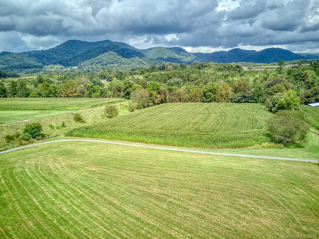 609 Caring Pl Loop Clyde, NC 28721 - Photo 7 of 24