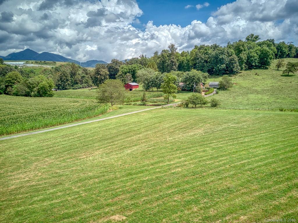 609 Caring Pl Loop Clyde, NC 28721 - Photo 10 of 24