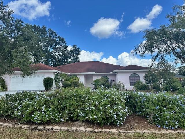 4600 Victoria Road Land O' Lakes, FL 34639 - Photo 1 of 1 Gallery Image 1