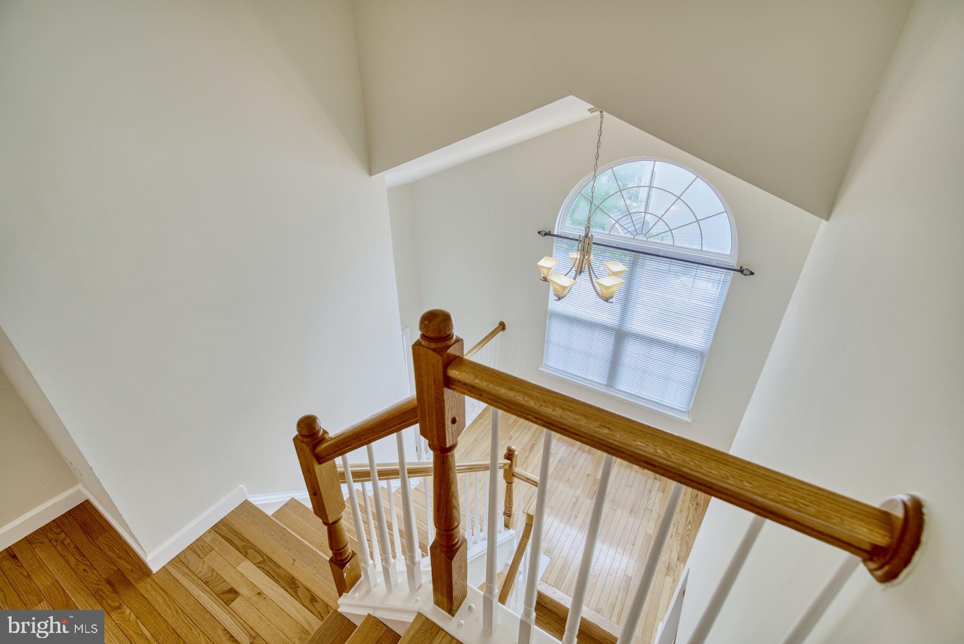 44101 Rising Sun Terrace Ashburn, VA 20147 - Photo 14 of 32 Gallery Image 14